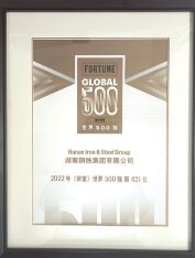 ●集团公司初次进入《财富》世界500强榜单。